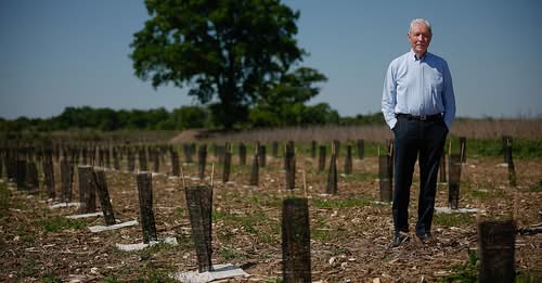 Aménagement : "Forêt de Maubuisson : « Quelque chose d’utopique se réalise » : la forêt de Maubuisson franchit le cap du million d’arbres dans le Val-d’Oise" (Article Epoch Times)