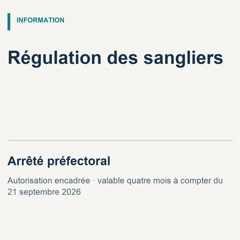 RÉGULATION DES SANGLIERS : ARRÊTÉ PRÉFECTORAL