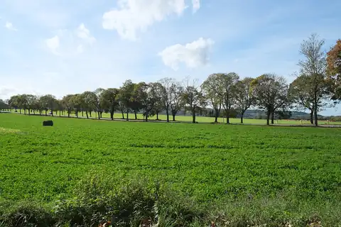 Asnières-sur-Oise, fotografia 3 z 4