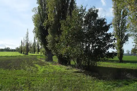 Asnières-sur-Oise, fotografia 4 z 4