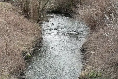 Bonneuil-en-France, 1 में से तस्वीर 1