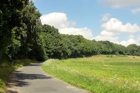 Bréançon, 4 में से तस्वीर 3