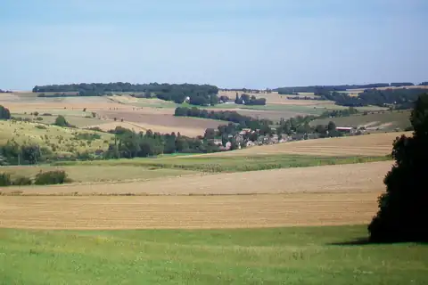 Buhy, fotografie 4 z 4