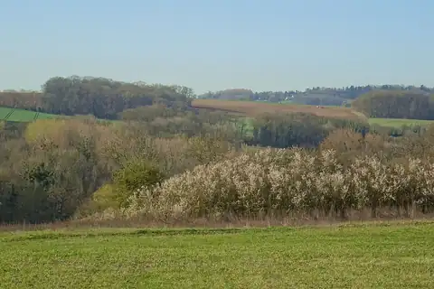 Châtenay-en-France, 4 fotoğraftan 1.