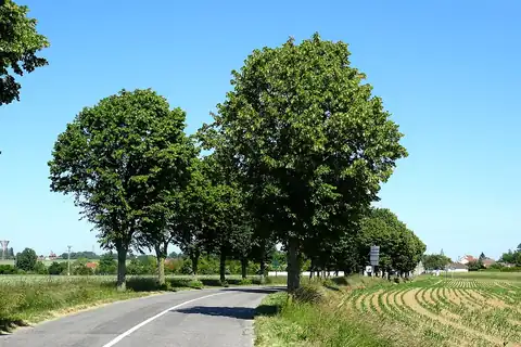 Châtenay-en-France, 4 fotoğraftan 4.