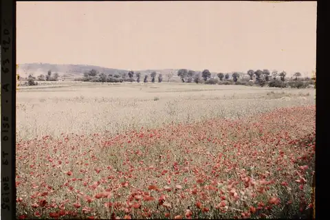 Cormeilles-en-Parisis, fotografie 4 z 4