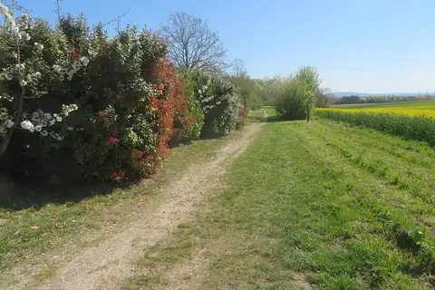 Courdimanche, fotografie 2 z 4
