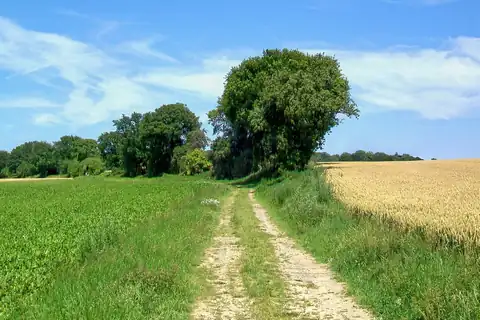 Epinay-Champlâtreux, 1 fotoğraftan 1.