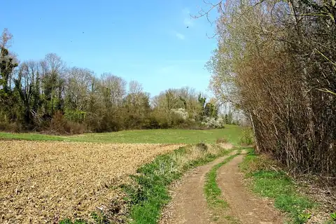 Lassy, fotografie 2 z 4