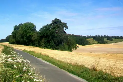 Longuesse, fotografi 1 av 4