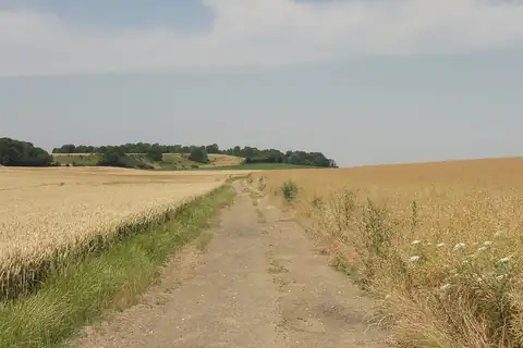 Longuesse, fotografi 3 av 4