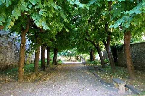 Mareil-en-France, 4 fotoğraftan 4.
