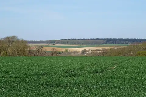 Marly-la-Ville, 4 fotoğraftan 4.