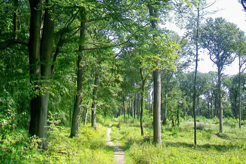 Nerville-la-Forêt, 4 fotoğraftan 3.