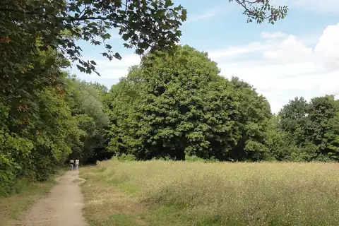 Neuville-sur-Oise, 4 fotoğraftan 2.