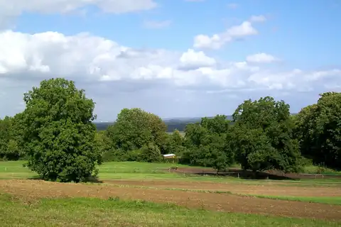 Noisy-sur-Oise, 4 में से तस्वीर 1