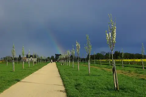 Le Plessis-Bouchard, fotografia 1 z 4