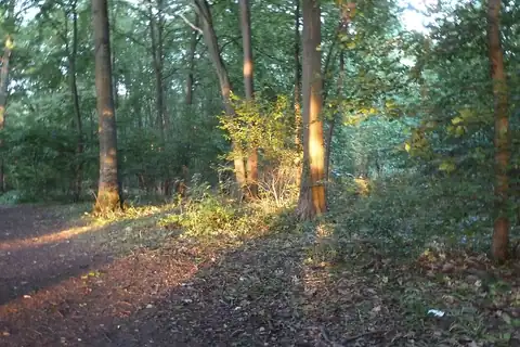 Le Plessis-Bouchard, fotografia 4 z 4