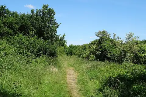Saint-Witz, 4 fotoğraftan 4.