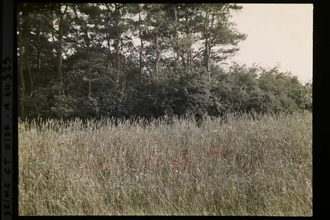 Vallangoujard, fotografie 4 z 4