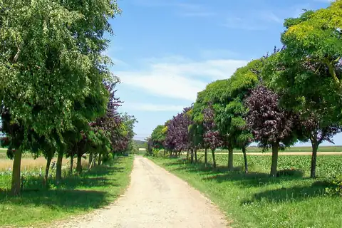 Villiers-le-Sec, 4 fotoğraftan 2.